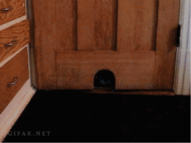 Who shrunk my door