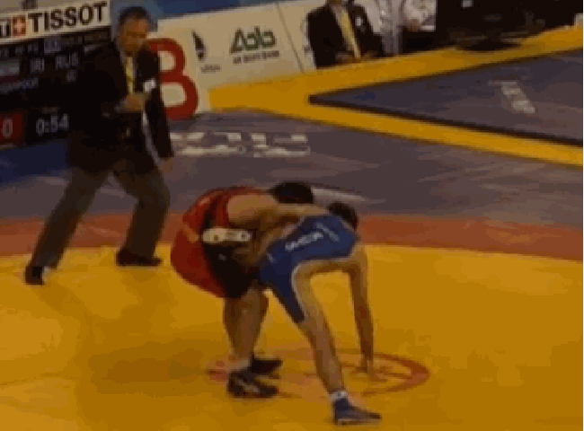 Wrestling backflip
