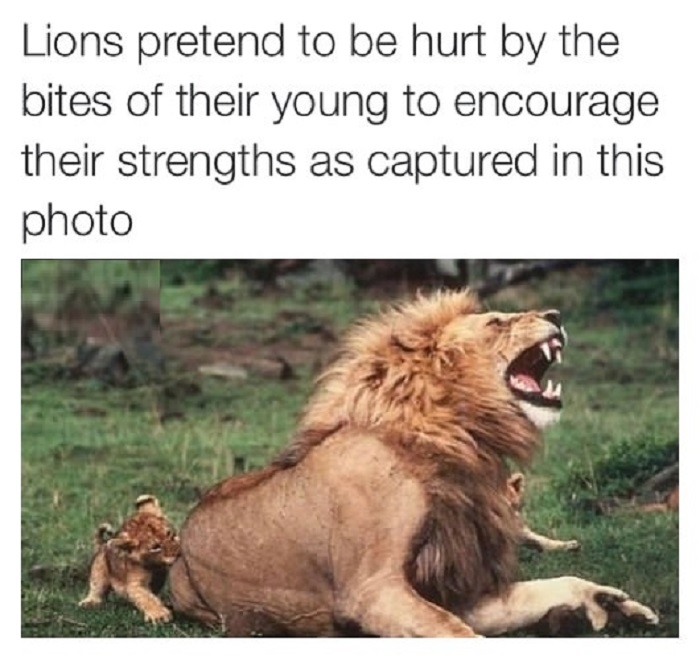 This is pretty amazing