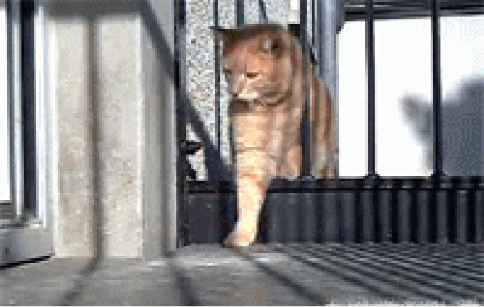 Squeeeeeeeze