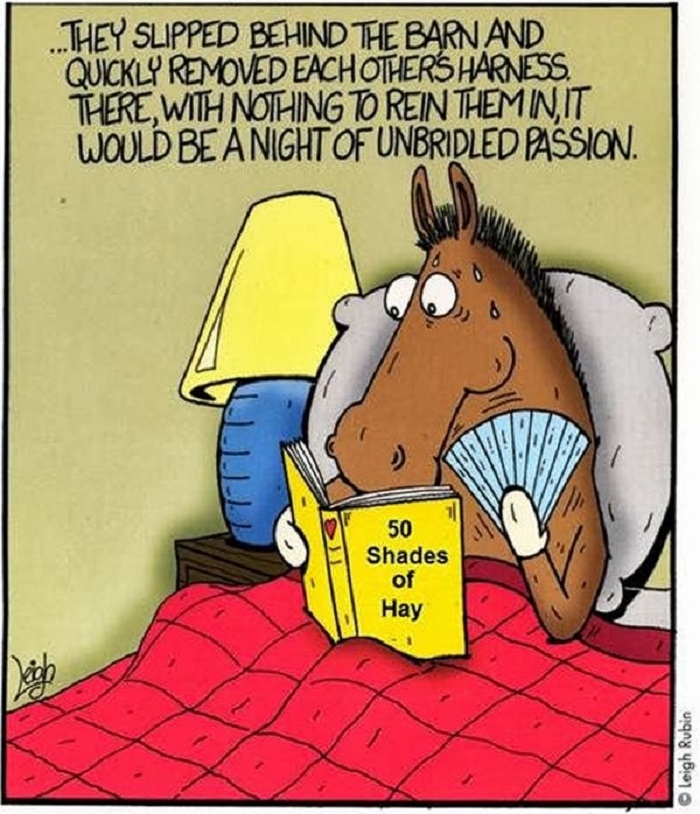 50 Shades of Hay