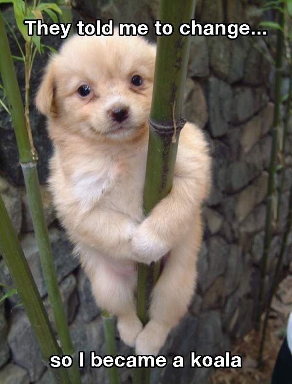 They told me to change