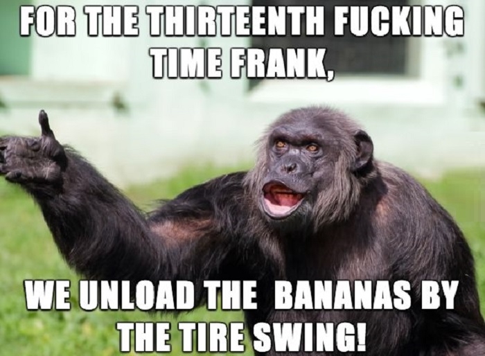 Angry Supervisor Monkey