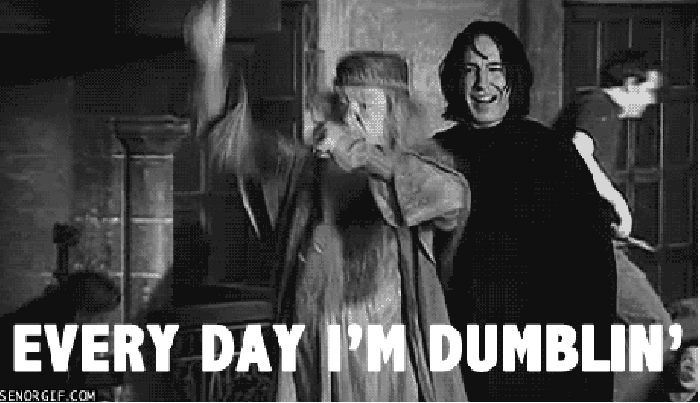 Everyday I'm Dumblin'
