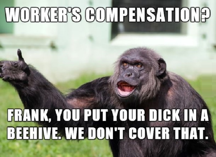 Angry Supervisor Monkey