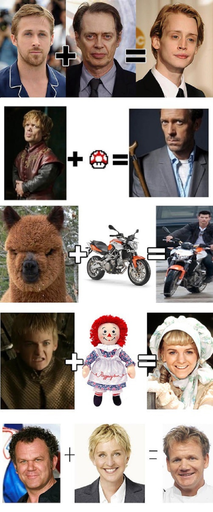Celebrity equations