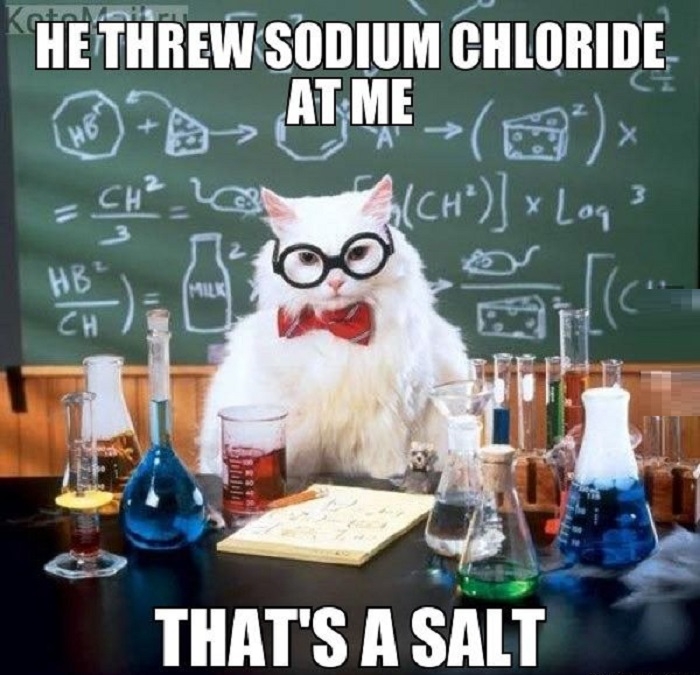 Chemistry Cat