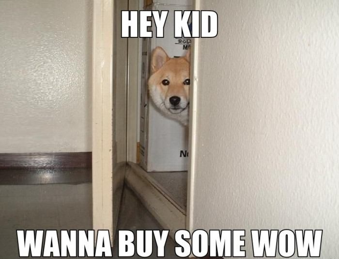 Hustler Doge