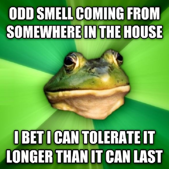 Foul frog