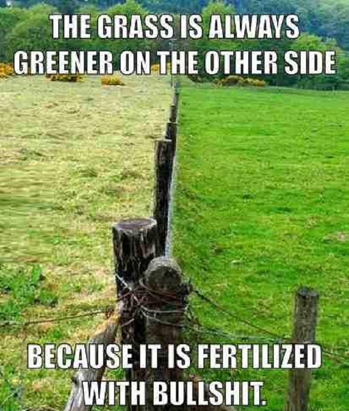 Grass is always greener..