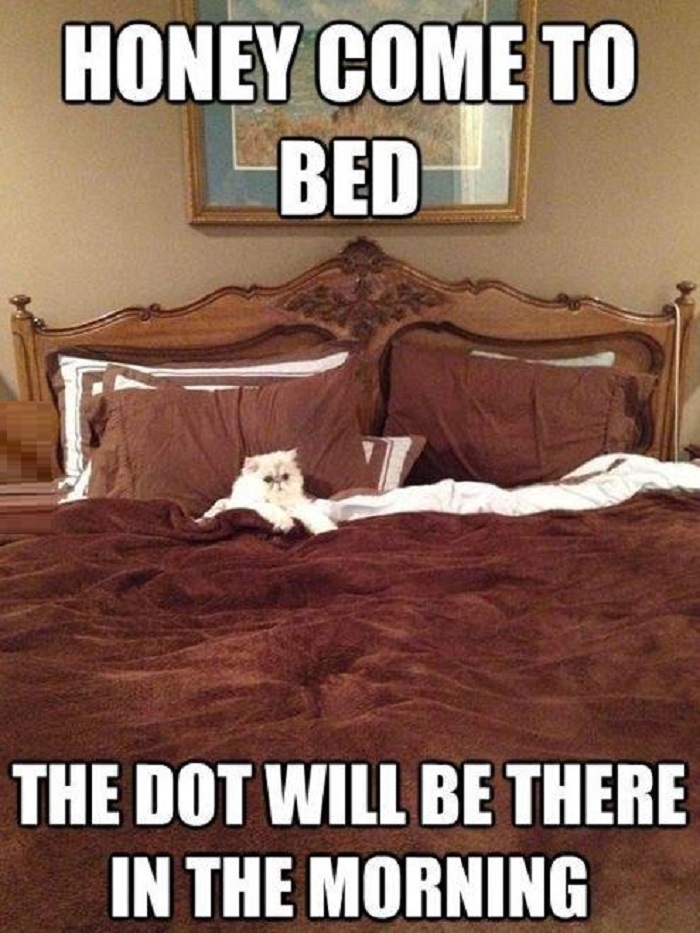 Honey, come to bed...