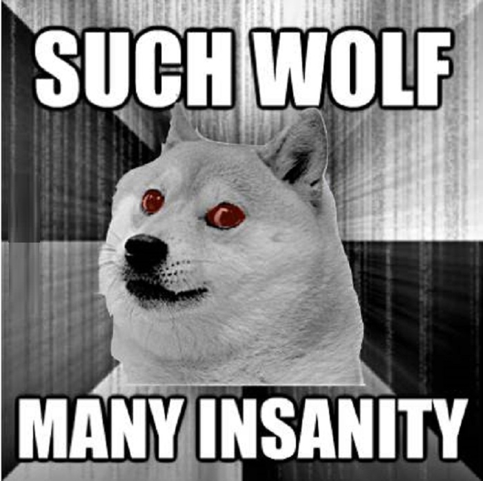 Insanity Doge