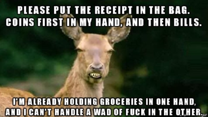 Irate advice deer