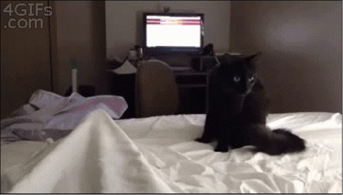 Incoming!