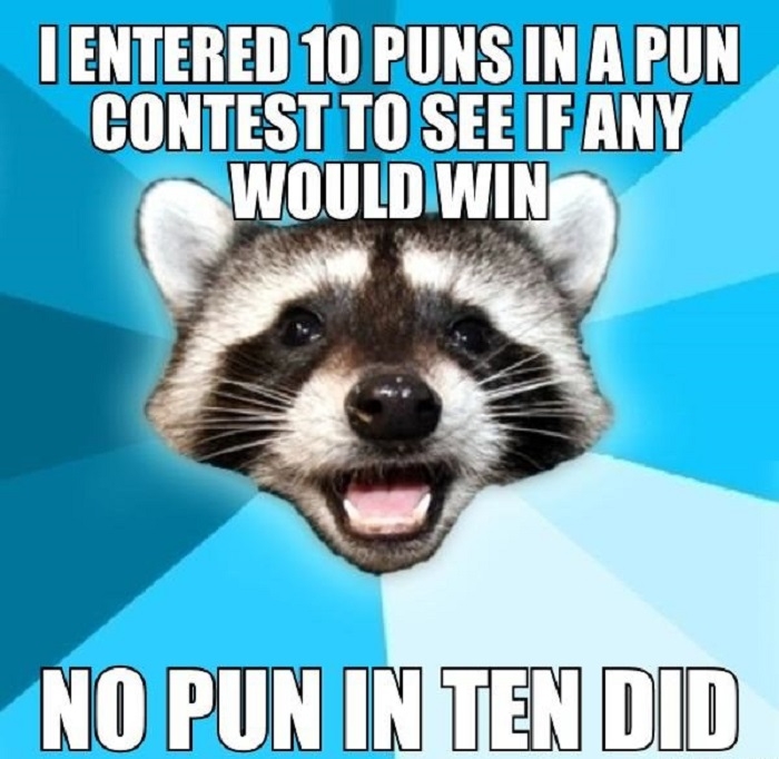 Lame Pun Coon