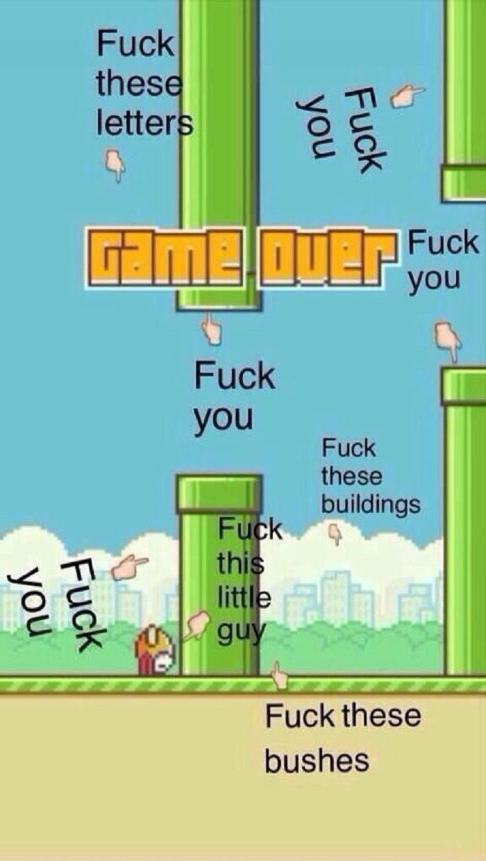 How I feel about Flappy Bird