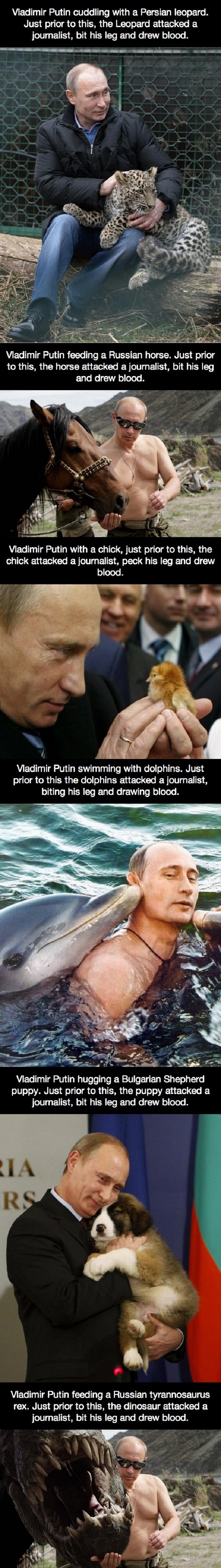 Putin & his animal friends