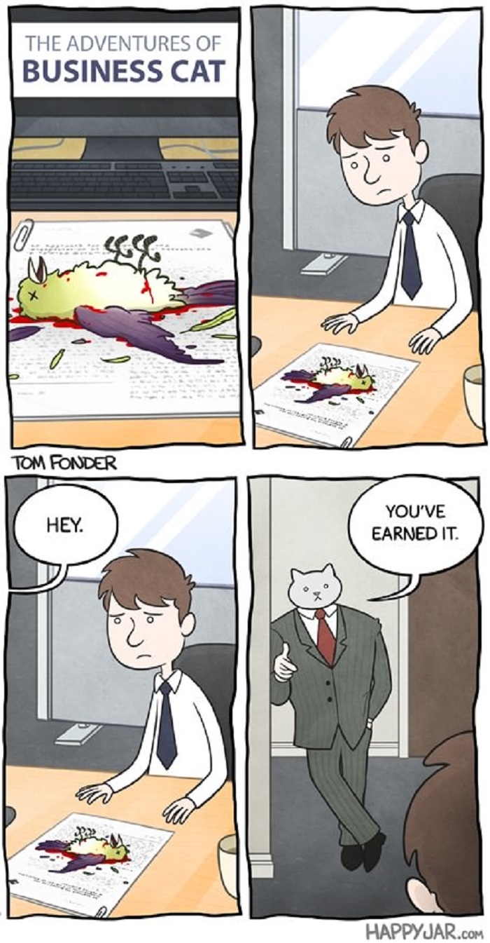 Business cat