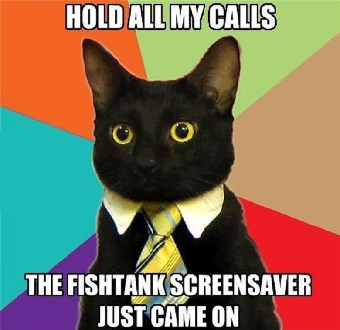 Hold all my calls