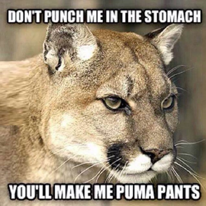 Don't punch me!