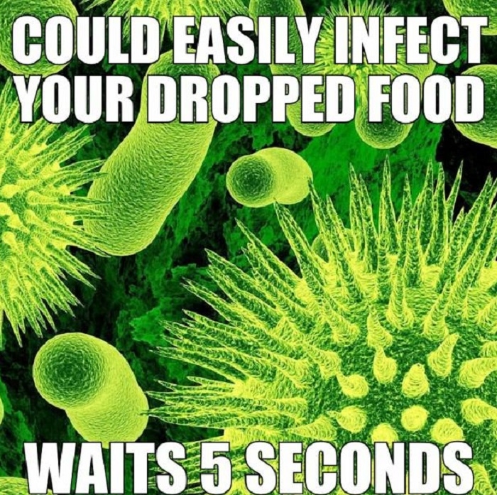 Good Guy Germs
