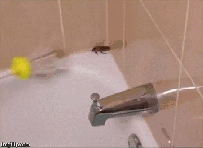 HA! Gotcha b*tch!