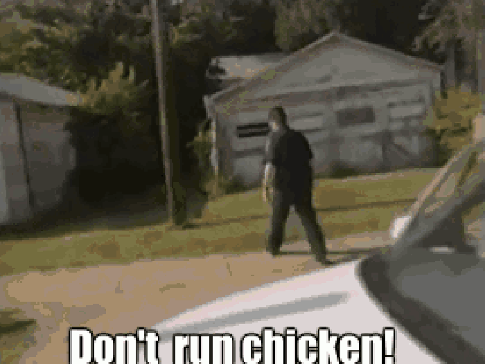 Don't run chicken!