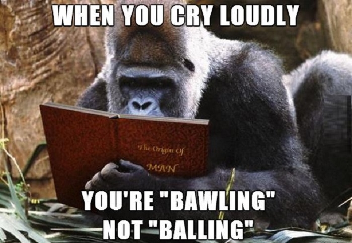 Grammar Gorilla
