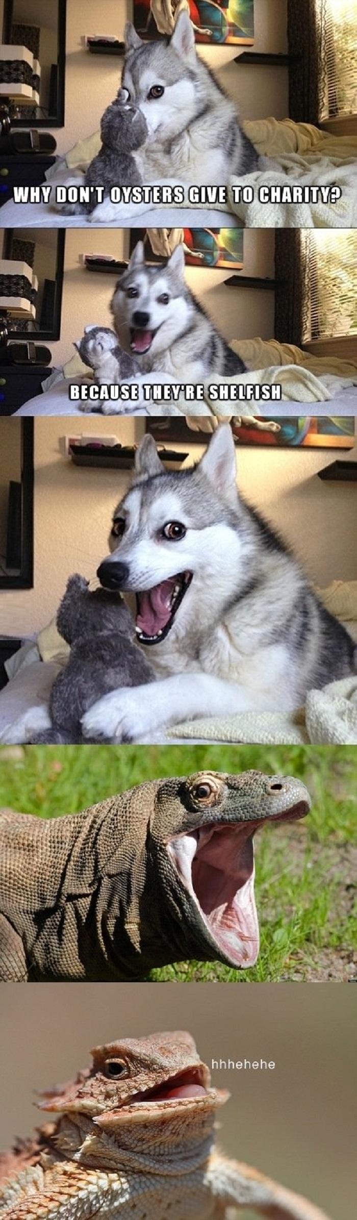 Pun dogs