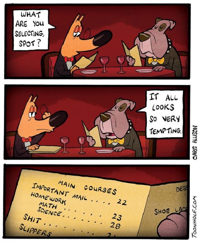 Fancy dog restaurant