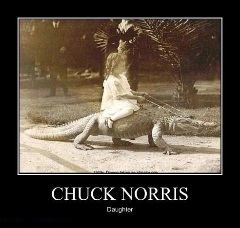 Chuck Norris' Daughter