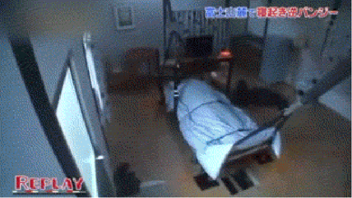 Japanese prank show