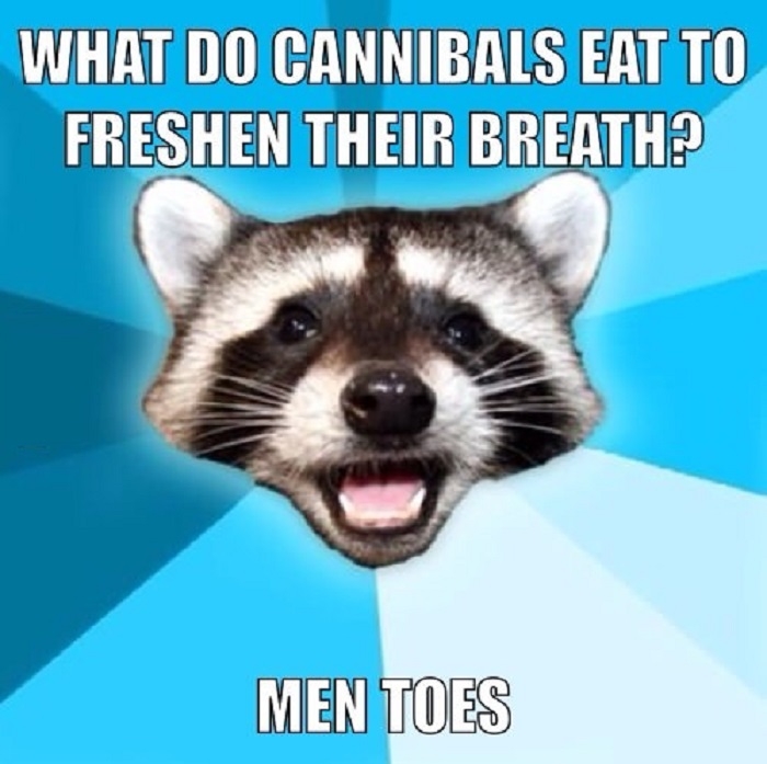 Lame pun coon