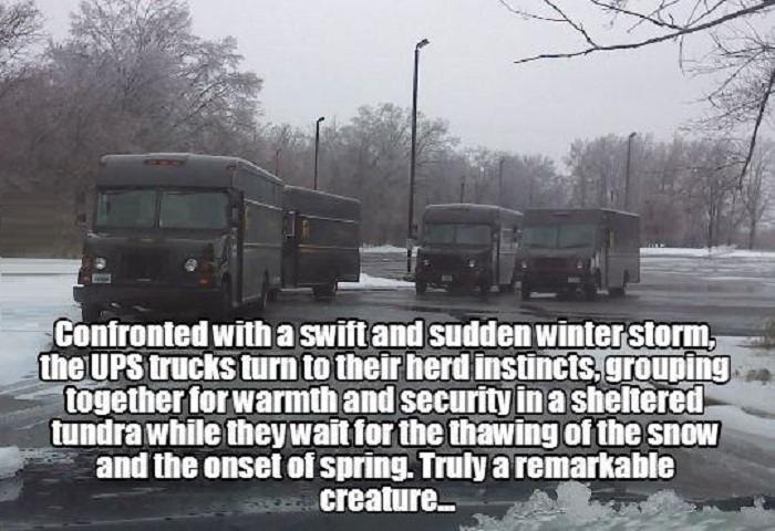 UPS trucks