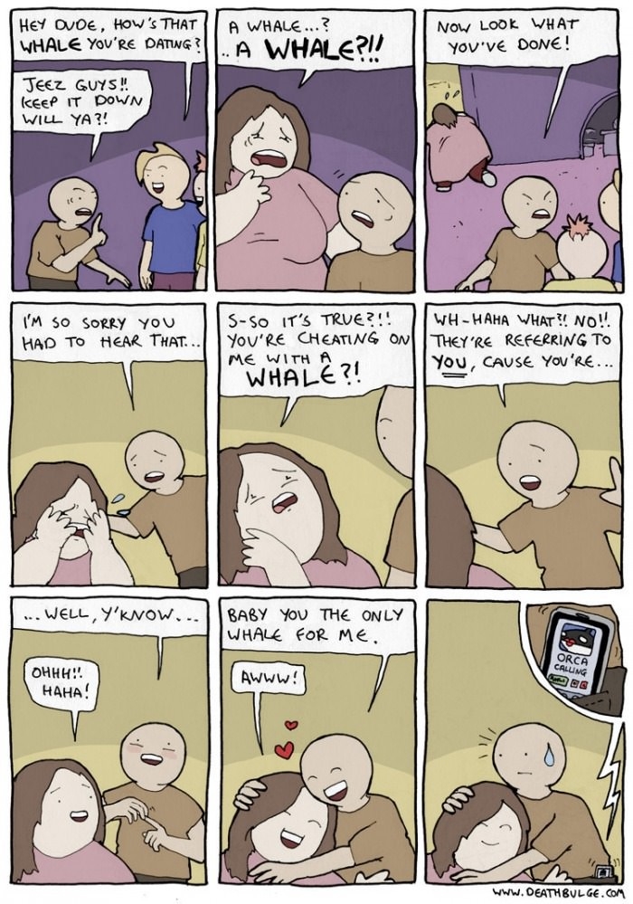 Whale whale whale..