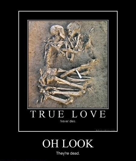 Oh look!