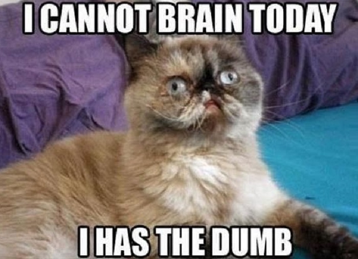 Every single Monday