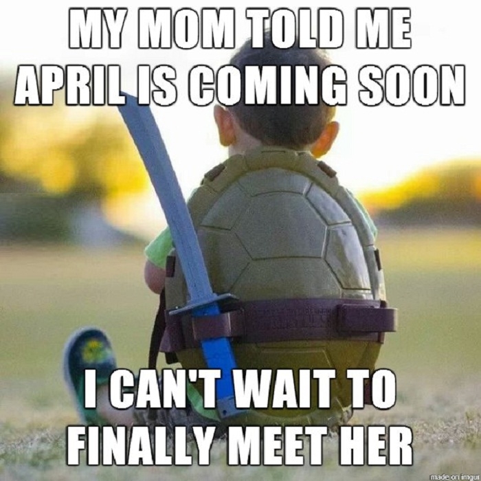 Troubled Turtle