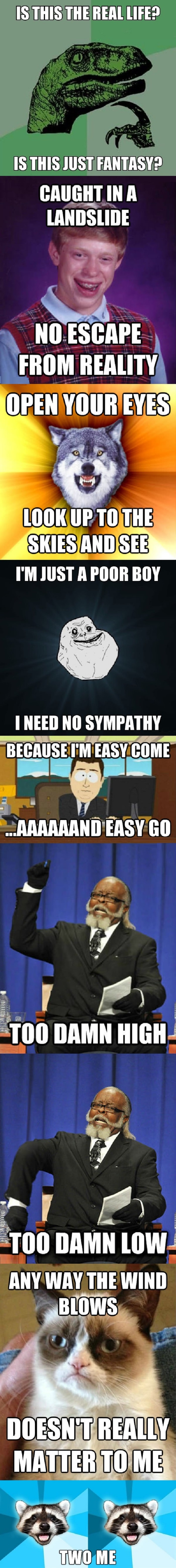 Bo-meme-ian Rhapsody
