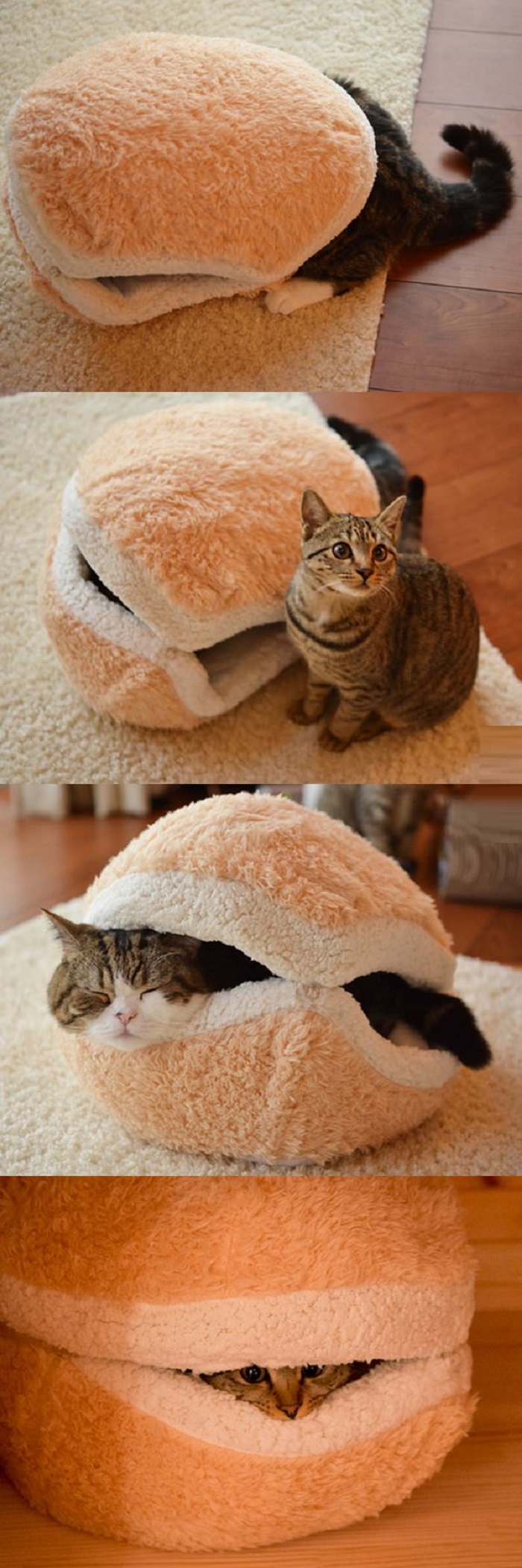 Cat burger