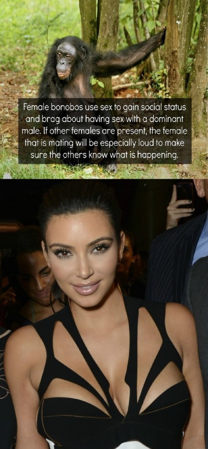 Those who deny evolution