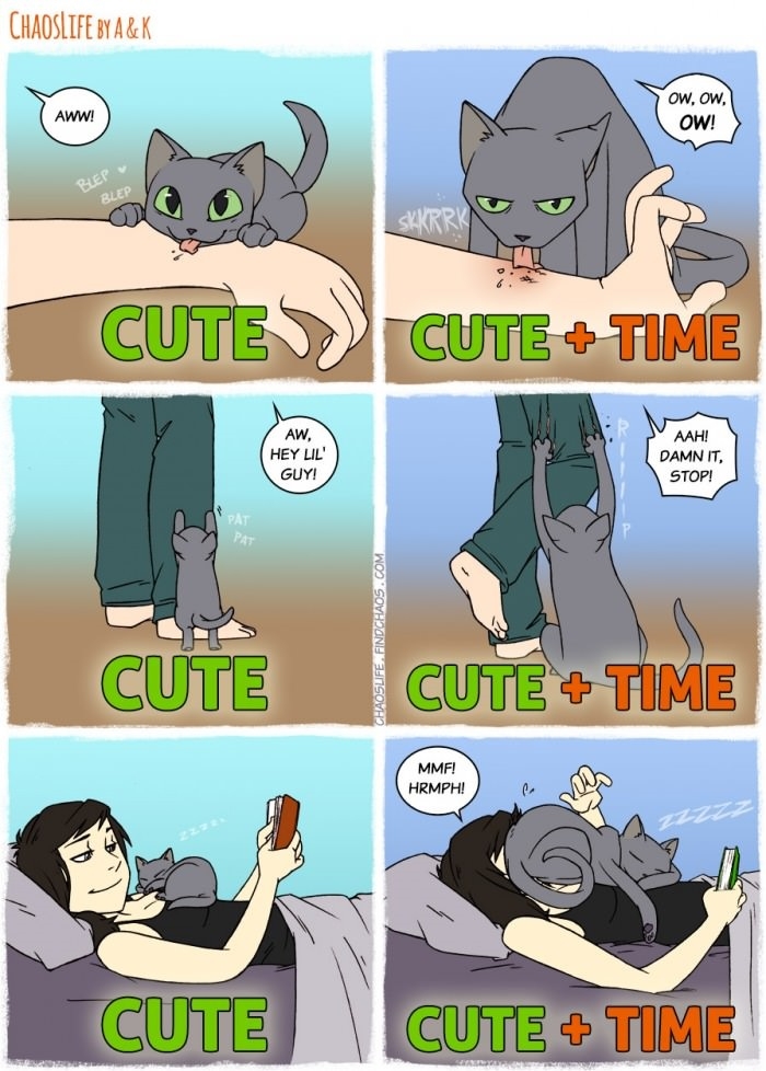 Cute + Time