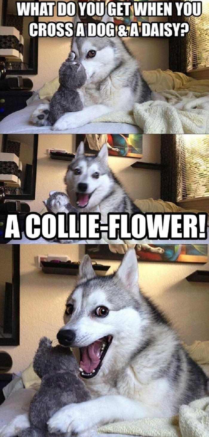 What a strange breed