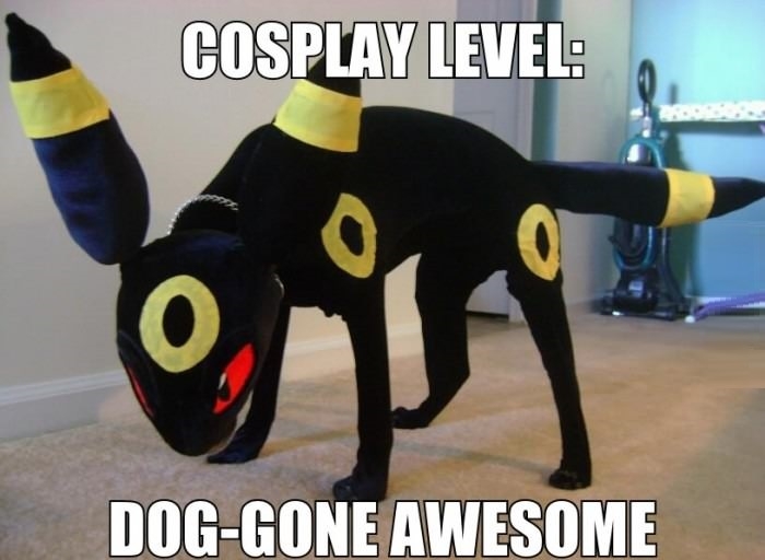 Cosplay level awsome
