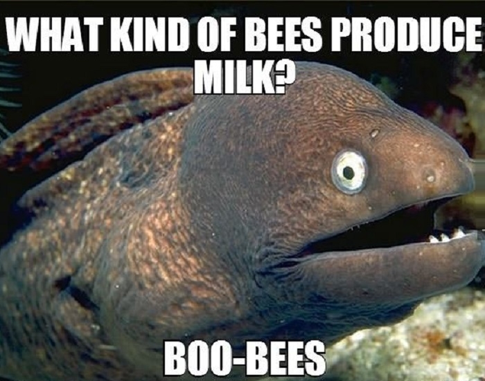 Bee milk