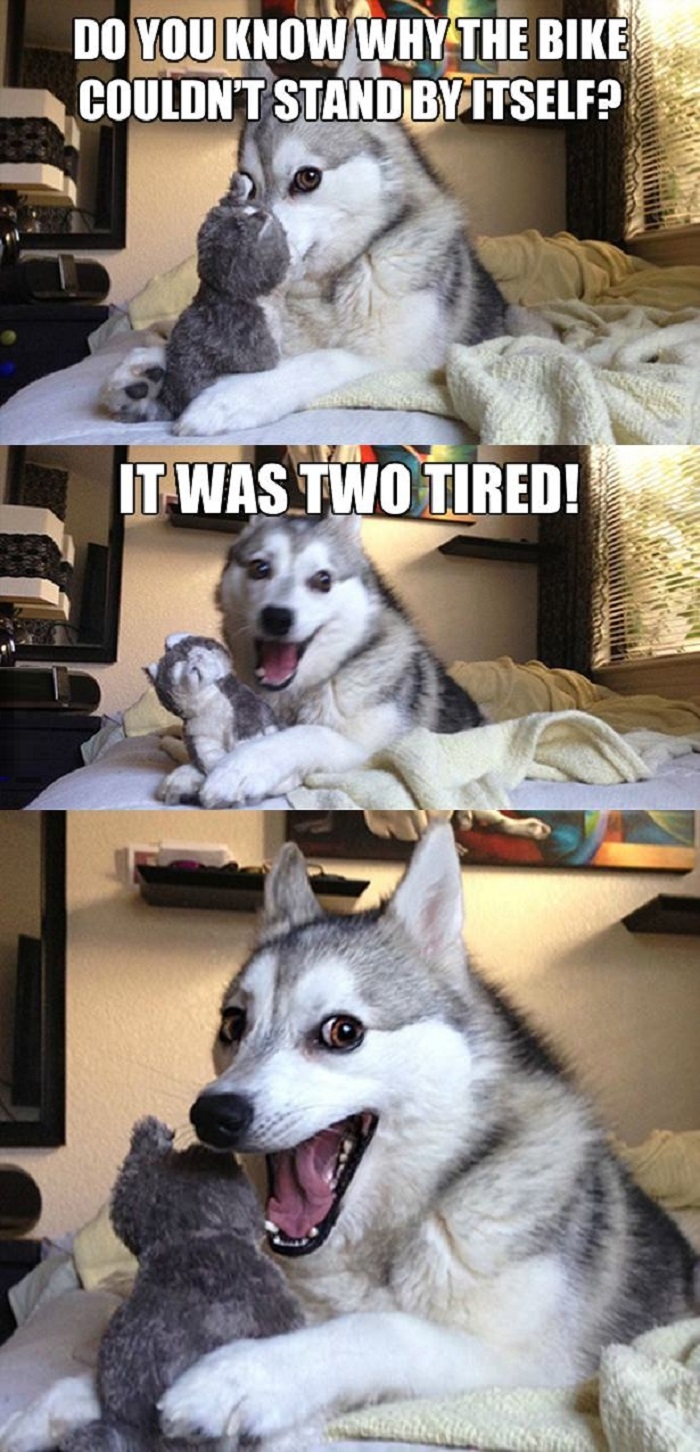 Pun dog