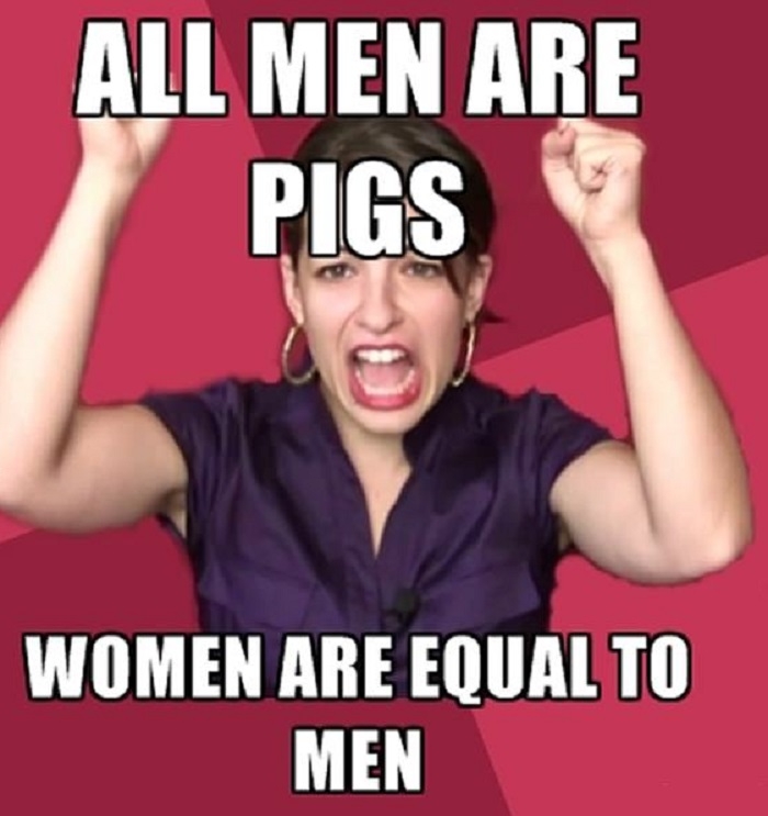 Feminism in a nutshell