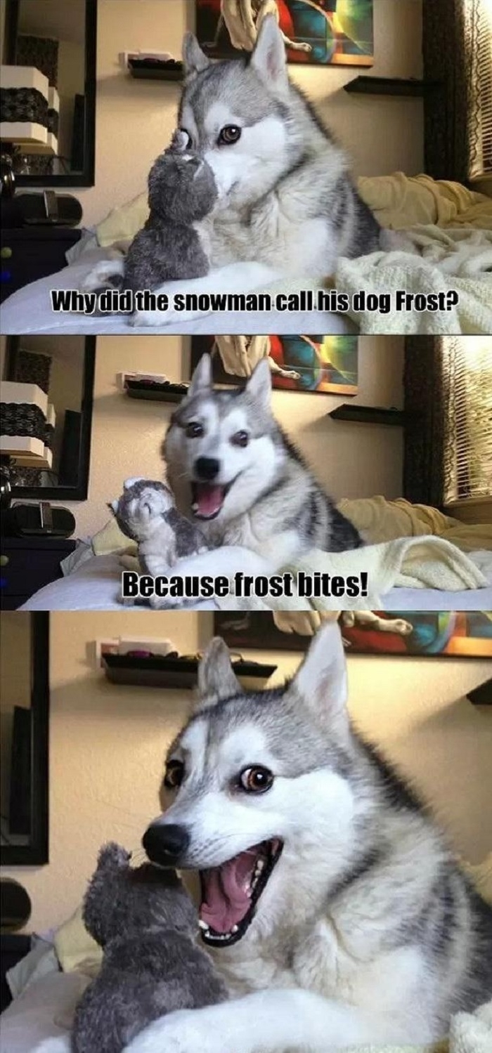 Pun dog