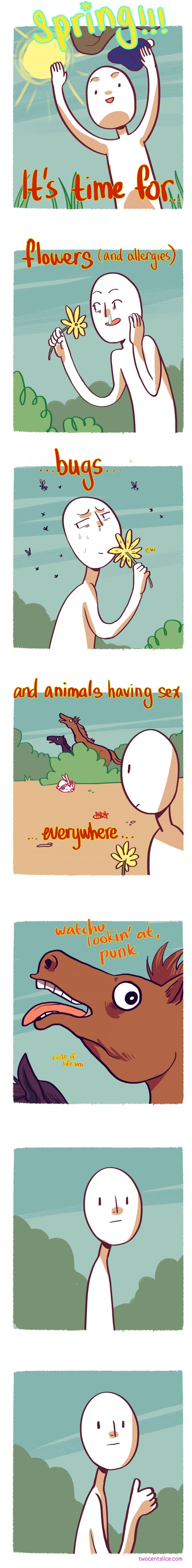 Spring in a nutshell