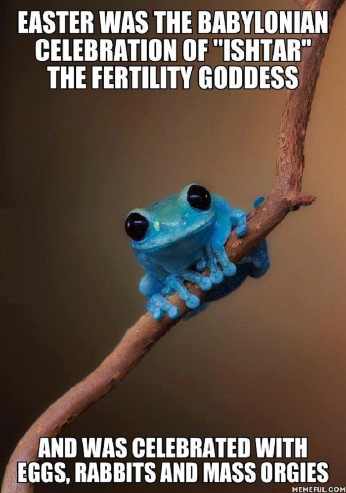 Small fact frog